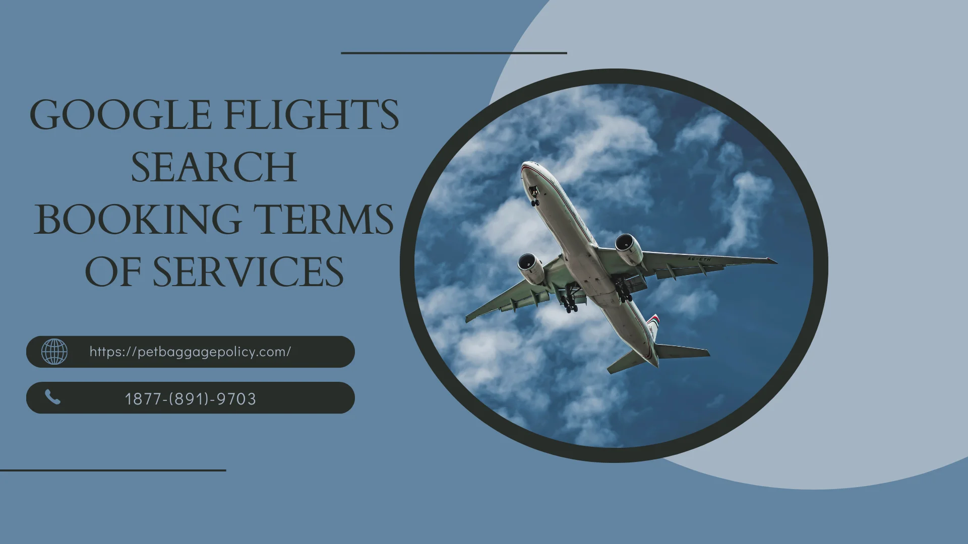 Google Flight Search Booking